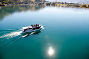 Stunning clear dear and calm waters with Million Dollar Cruise.