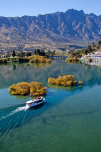 Sail past willow islands on Million Dollar's Queenstown Lake Cruise.